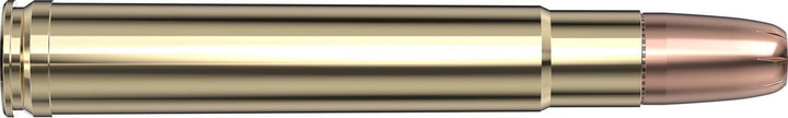 Hornady .416 Rem Magnum 400gr DGX BONDED Ammunition