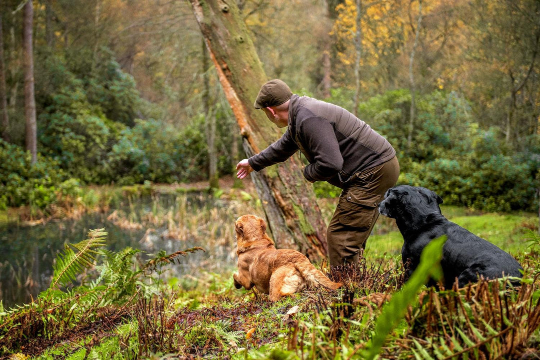 Lifestyle: man in olive trousers and brown fleece crouching by a fallen tree with a golden retriever and a black labrador in autumn woodland