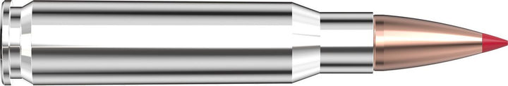 Hornady .308 Win 165gr CX Ammunition