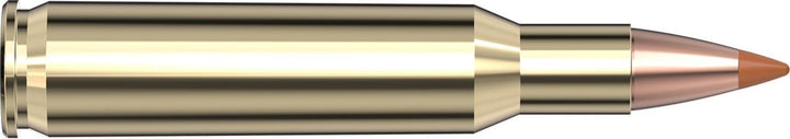 Hornady .222 Rem 35gr NTX Ammunition
