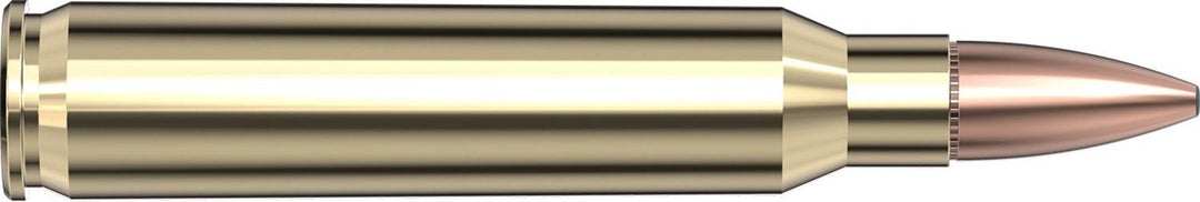 Hornady .223 Rem 62gr FMJ Ammunition