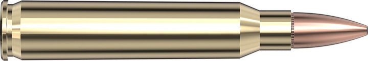 Hornady .223 Rem 62gr FMJ Ammunition
