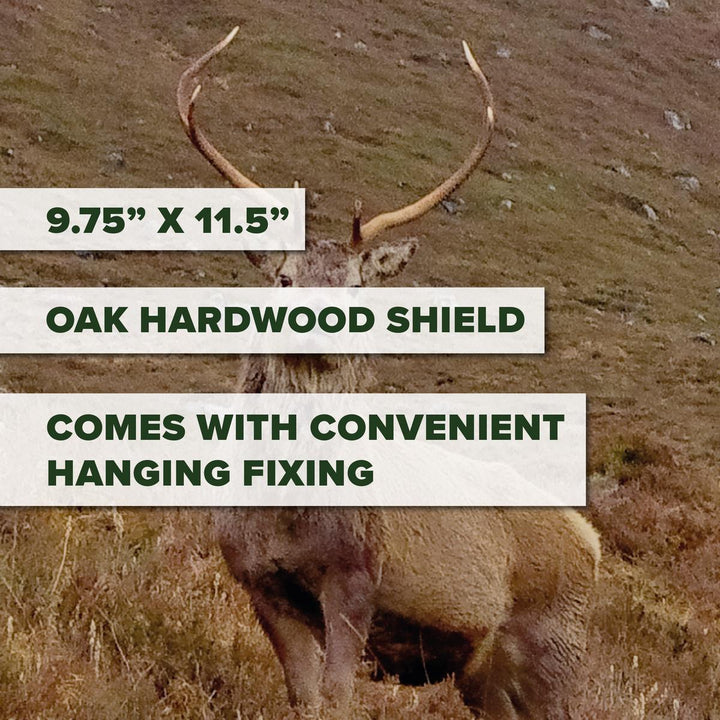 BushWear Solid Oak Antler Skull Cap Shield  9.75"x11.5"