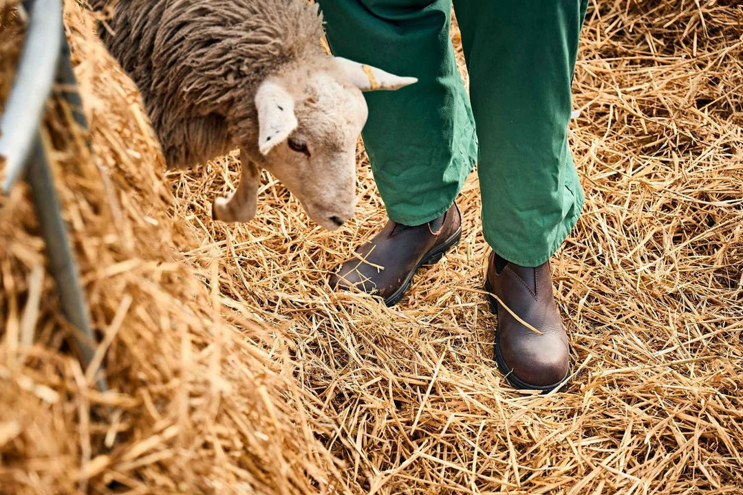 Grubs Whirlwind brown dealer boots worn by a person in green trousers standing in straw beside a sheep