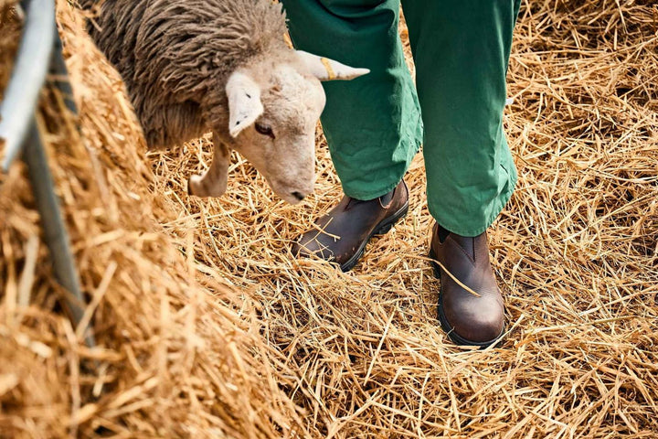 Grubs Whirlwind brown dealer boots worn by a person in green trousers standing in straw beside a sheep