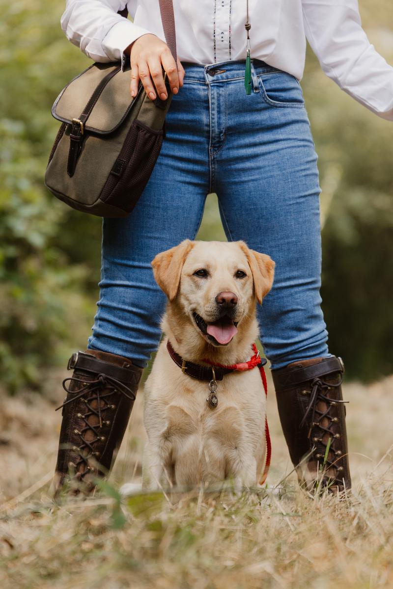 Bisley Dog Training Bag Canvas by Bisley