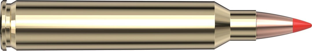 Hornady .204 Ruger 32gr V-MAX Ammunition