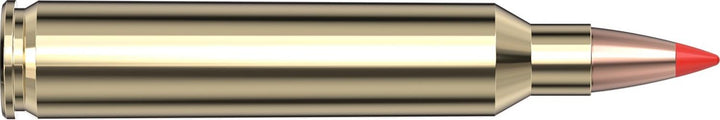 Hornady .204 Ruger 32gr V-MAX Ammunition