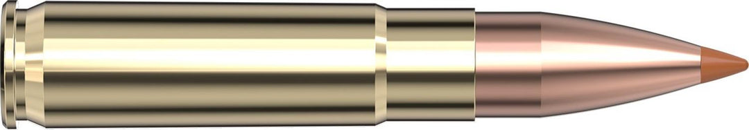 Hornady .300 Blackout 110gr NTX Ammunition