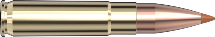 Hornady .300 Blackout 110gr NTX Ammunition