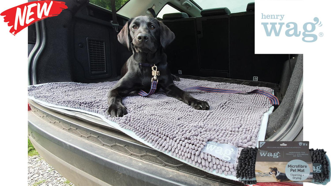 Bisley Microfibre Noodle Pet Mat Large by Henry Wag
