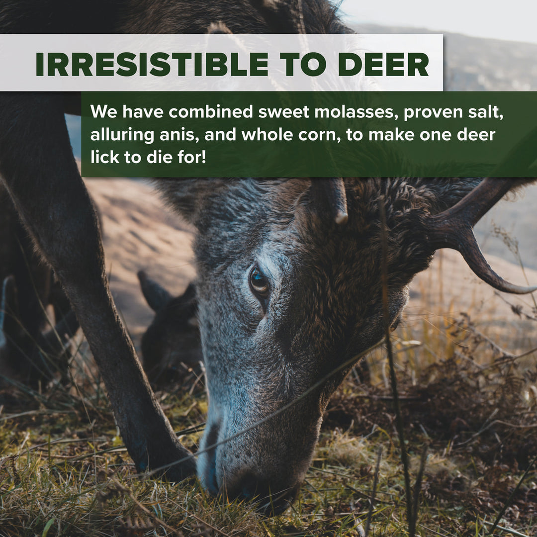 BushWear Molasses Munchies Plus Bucket 15kg For Deer