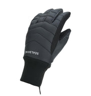 Sealskinz Waterproof All Weather Lightweight Insulated GloveBlackUnisex