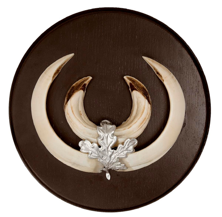 Decoy Wild boar trophy plate Dark wood dia. 20 cm