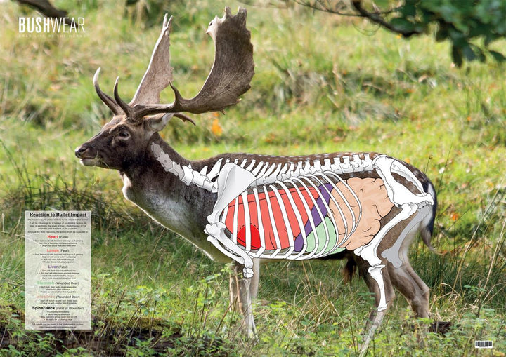 BushWear Fallow Double Sided Deer Target (4pk)