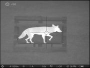 Thermbright Coyote Passive Thermal Target