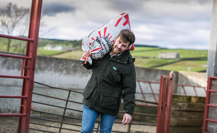 Ridgeline Torrent III Jacket Olive