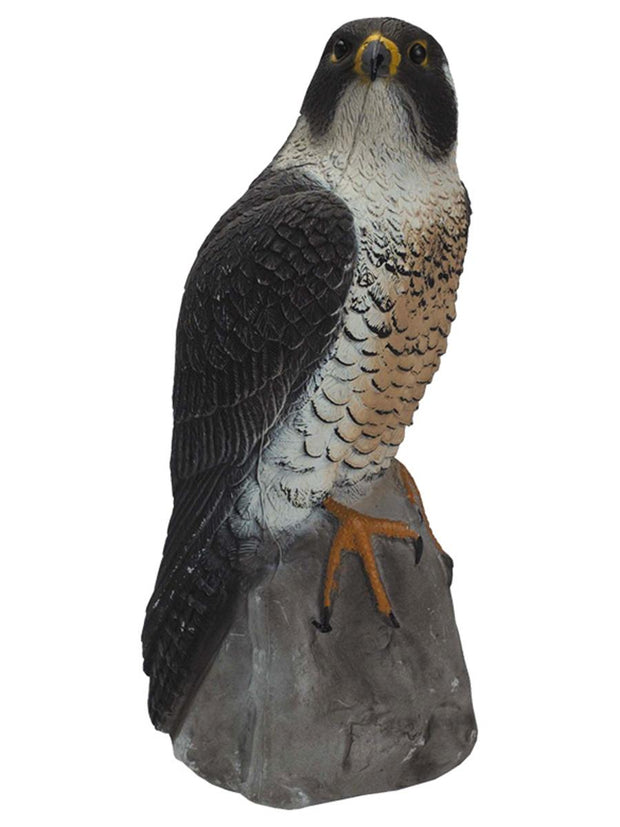 Sport Plast Peregrine Falcon