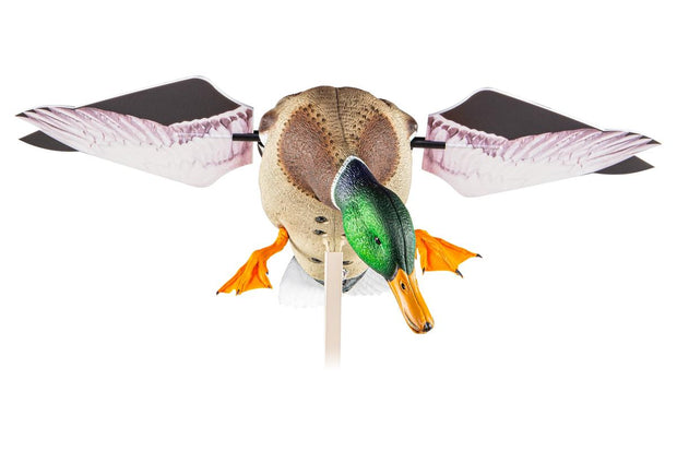 Avian X Powerflight Mallard - Spinning Wing Duck