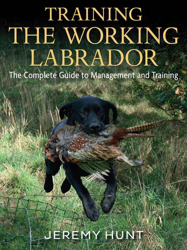 Jeremy Hunt Training the Working Labrador (Paperback)