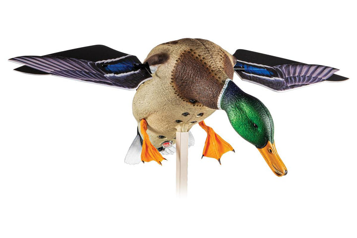 Avian X Powerflight Mallard - Spinning Wing Duck