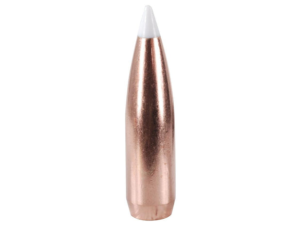 Nosler .30 cal Accubond 165gr Bullet Heads (50pk) 55602
