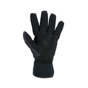 Sealskinz Griston Waterproof All Weather Lightweight Glove Black Unisex GLOVE