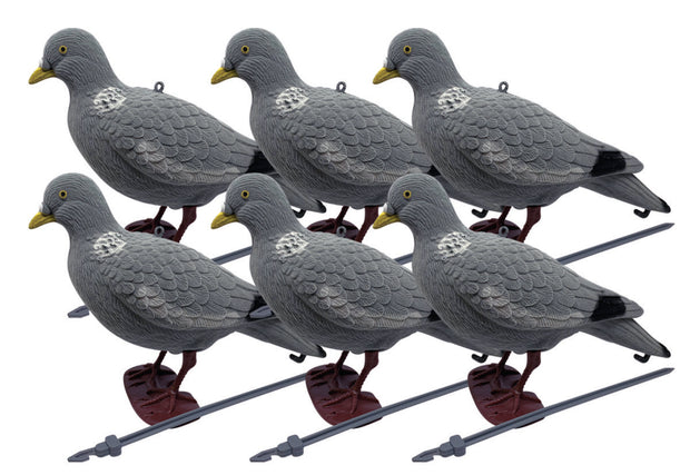 BushWear Pack of 6 Flocked Pigeon Decoy (Head Up)