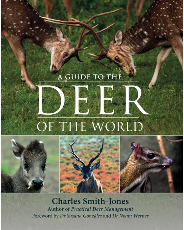 Bisley A Guide To Deer Of The World
