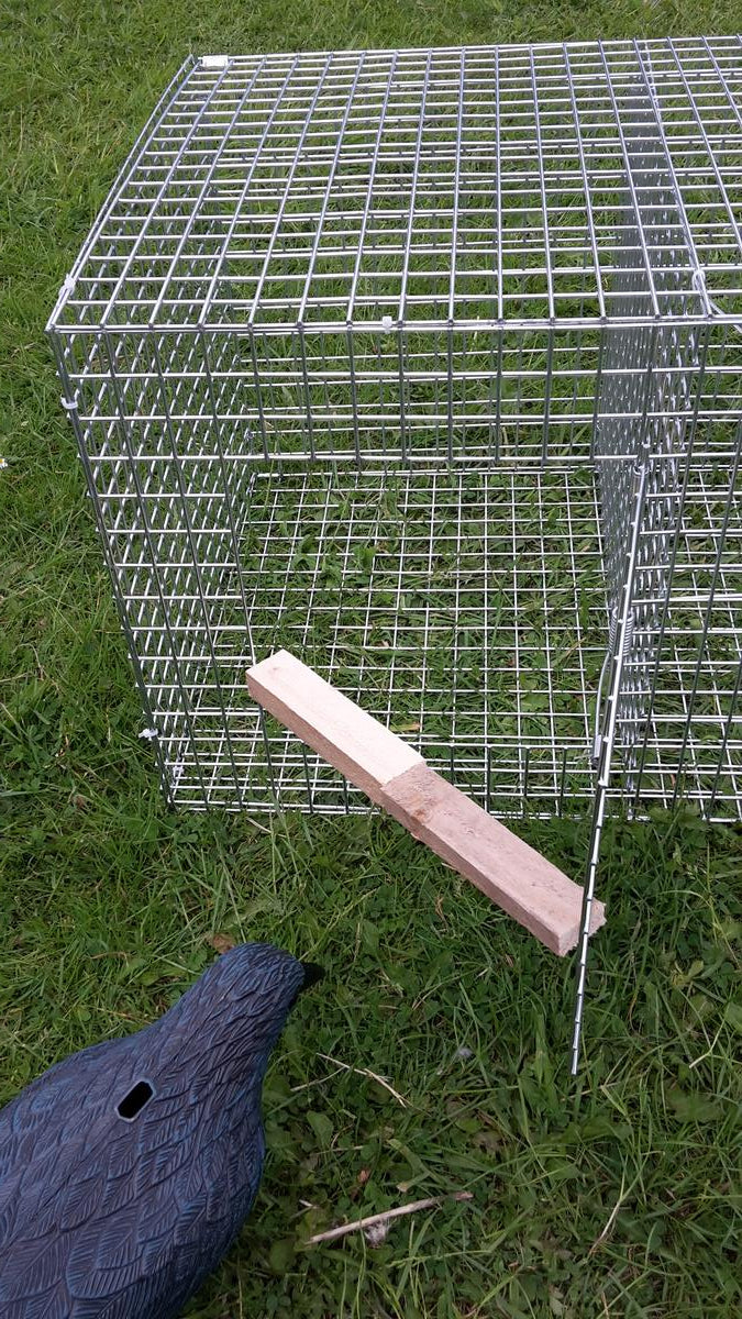 Trap Man Corvid Larsen Cage Trap (Side Entry) 2 bird catch