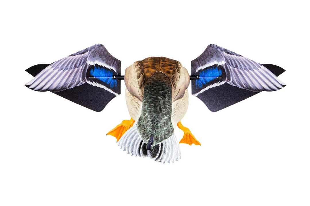 Avian X Powerflight Mallard - Spinning Wing Duck