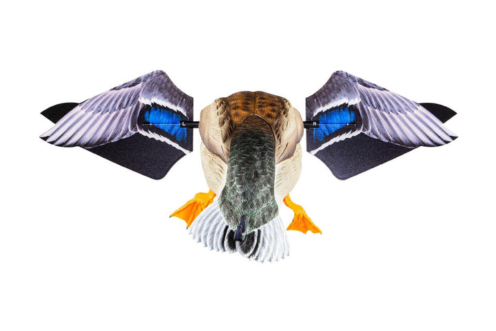 Avian X Powerflight Mallard - Spinning Wing Duck