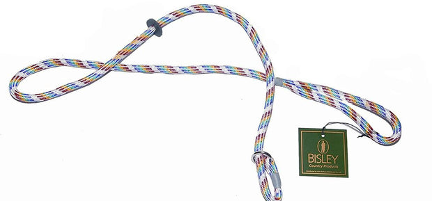 Bisley Loose Multicoloured Dog Slip Lead
