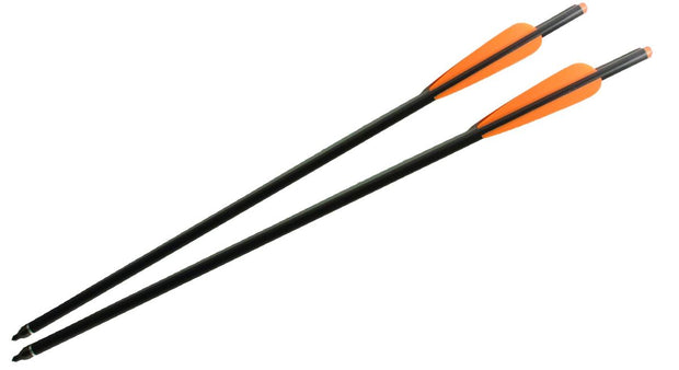 Bisley Crossbow Bolts Carbon Pack of 5