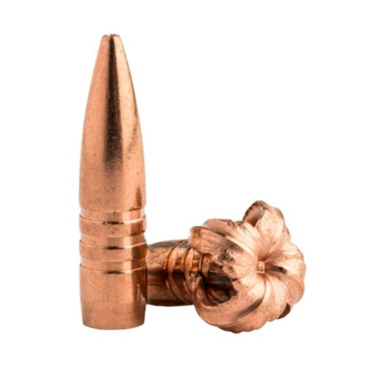 Barnes Barnes TSX  22 Cal .224 62gr (50 per Box)