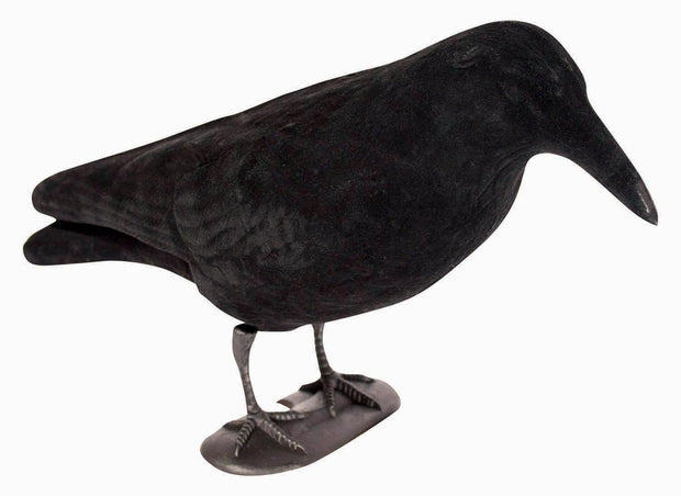 Bisley Flocked Crow with Legs